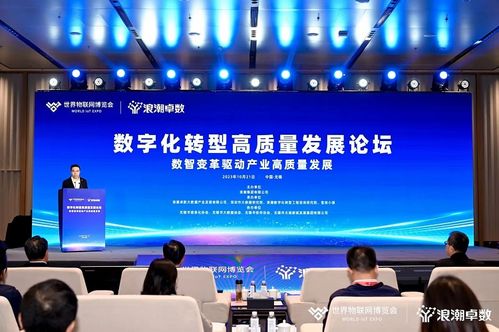 數(shù)字化轉(zhuǎn)型高質(zhì)量發(fā)展論壇在無(wú)錫成功舉辦，共議信息技術(shù)咨詢服務(wù)新路徑